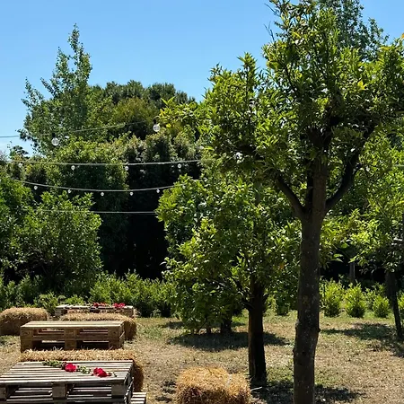 Πανσιόν De Cillis Carafa *