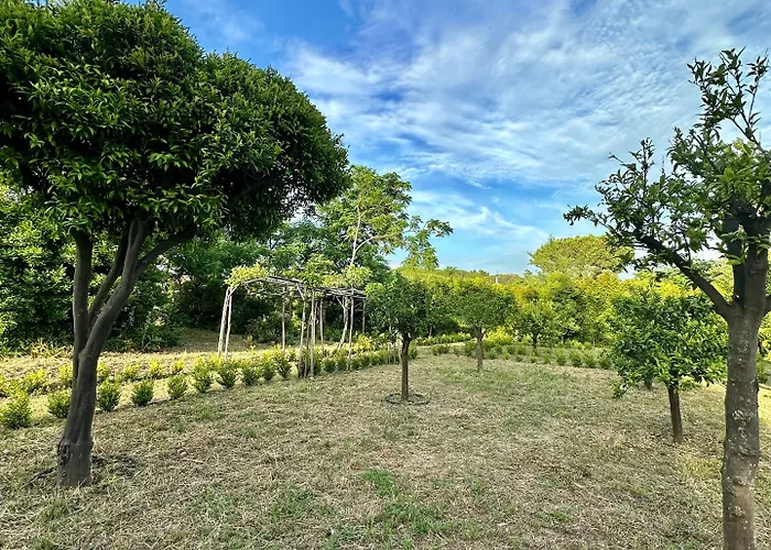 De Cillis Carafa Konukevi 4*
